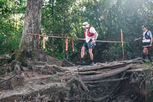 BIB: 
                            <button type="button" onclick="openModal(27750584)" class="btn btn-primary btn-sm float-right btn-popup" data-toggle="modal" data-target=".modal-high-quality">
                        <i class="fas fa-shopping-cart"></i> Add to Cart
                    </button>
                                            <button type="button" onclick="isThisMe(27750584, true)" class="btn btn-success btn-sm float-right btn-popup btn-isme hidden" data-toggle="tooltip" data-placement="bottom" title="นี่คือรูปของคุณใช่ไหม คลิกที่นี่เพื่อเอาเข้าอัลบั้ม">
                        <i class="fas fa-plus"></i> Add to album
                    </button>
                    <button type="button" onclick="isThisMe(27750584, false)" class="btn btn-warning btn-sm float-right btn-popup btn-isnotme hidden">
                        <i class="fas fa-ban"></i> Remove from album
                    </button>